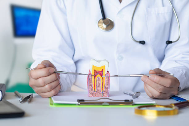 Best Root Canal Emergency Dentist  in Hillsboro, WI